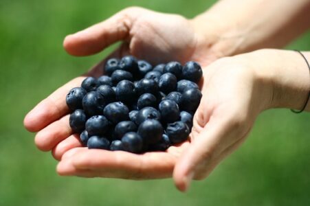 Unplugging to Reconnect: A Journey Toward Full-Time Homesteading – Finances, Part 3 Image